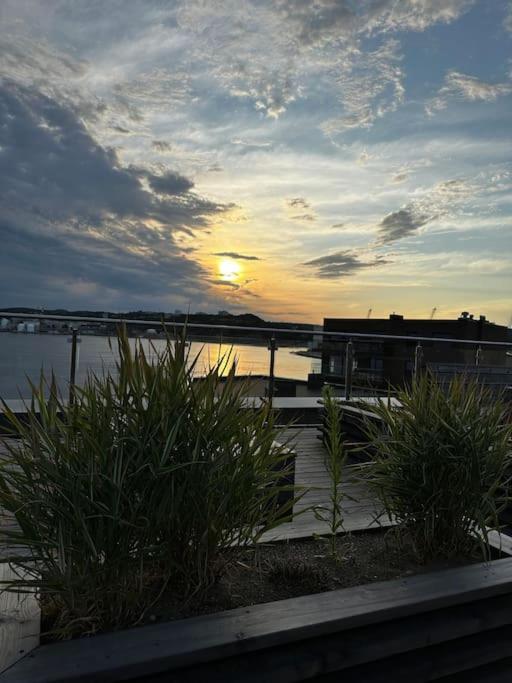 Stunning With Ocean View Apartamento *